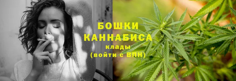 Каннабис SATIVA & INDICA  купить наркотики сайты  Змеиногорск 